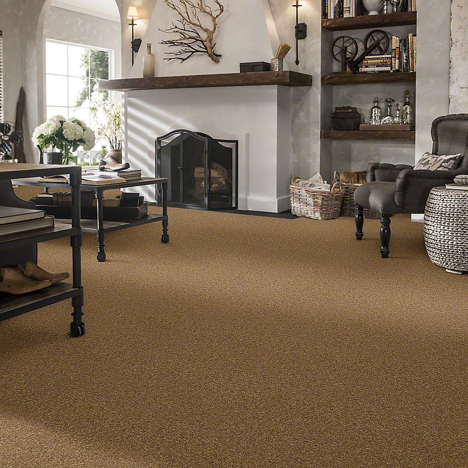 Anderson Tuftex Classics Interlude Toast Tan 852AG_00724