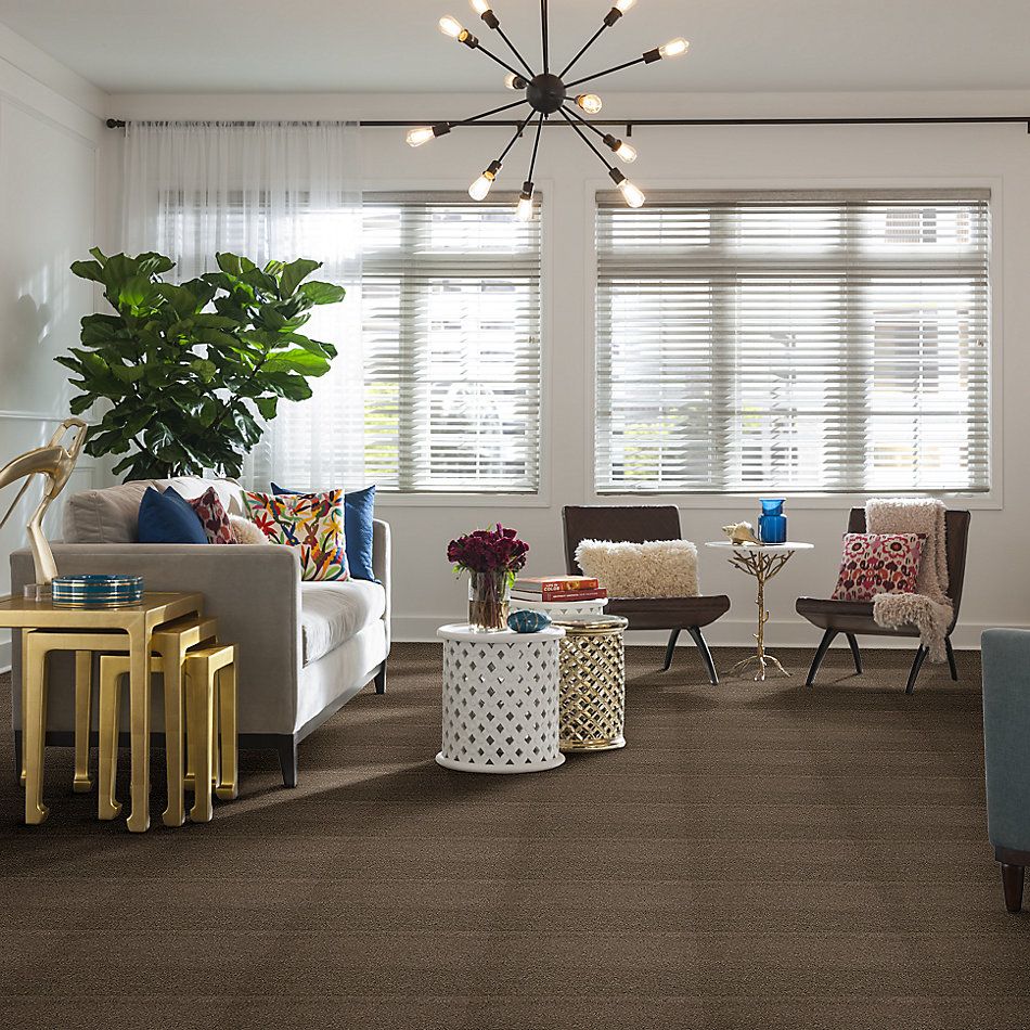 Shaw Floors Caress By Shaw Cashmere I Lg Mesquite 00724_CC09B