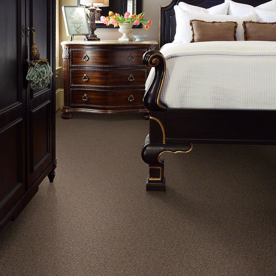Shaw Floors Caress By Shaw Quiet Comfort Classic III Mesquite 00724_CCB98