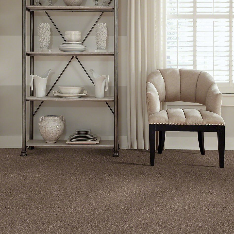 Shaw Floors Caress By Shaw Quiet Comfort Classic Iv Mesquite 00724_CCB99