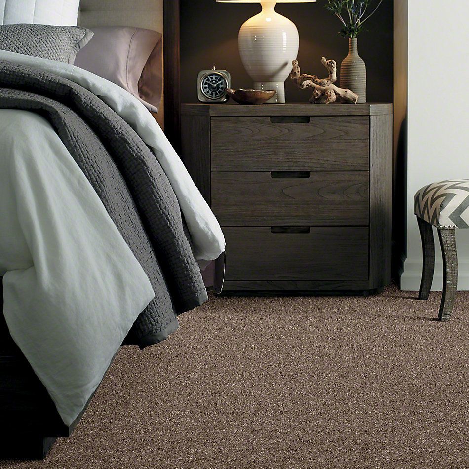 Shaw Floors Caress By Shaw Cashmere Classic I Mesquite 00724_CCS68