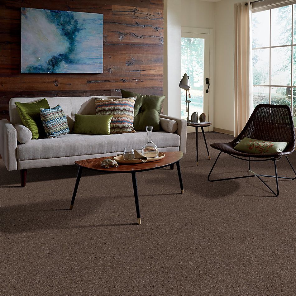 Shaw Floors Caress By Shaw Cashmere Classic III Spring – Wood 00725_CCS70