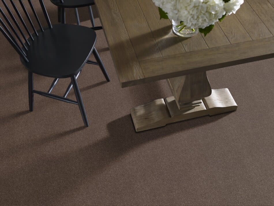 Shaw Floors Value Collections Cashmere Classic I Net Spring – Wood 00725_E9922