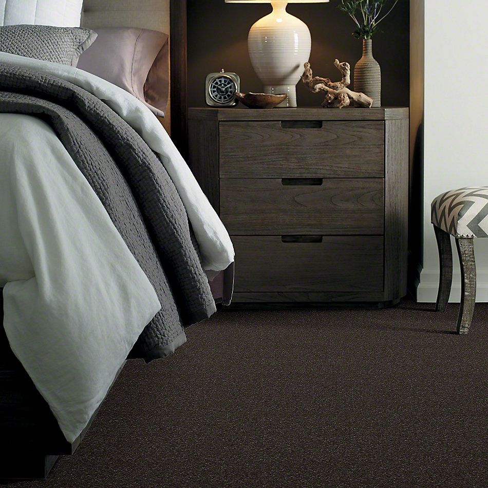 Shaw Floors Caress By Shaw Cashmere Classic I Chestnut 00726_CCS68