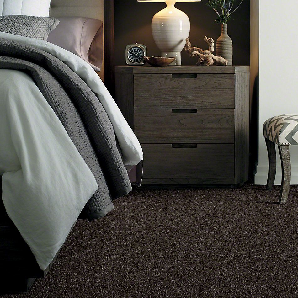 Shaw Floors Caress By Shaw Cashmere Classic II Chestnut 00726_CCS69