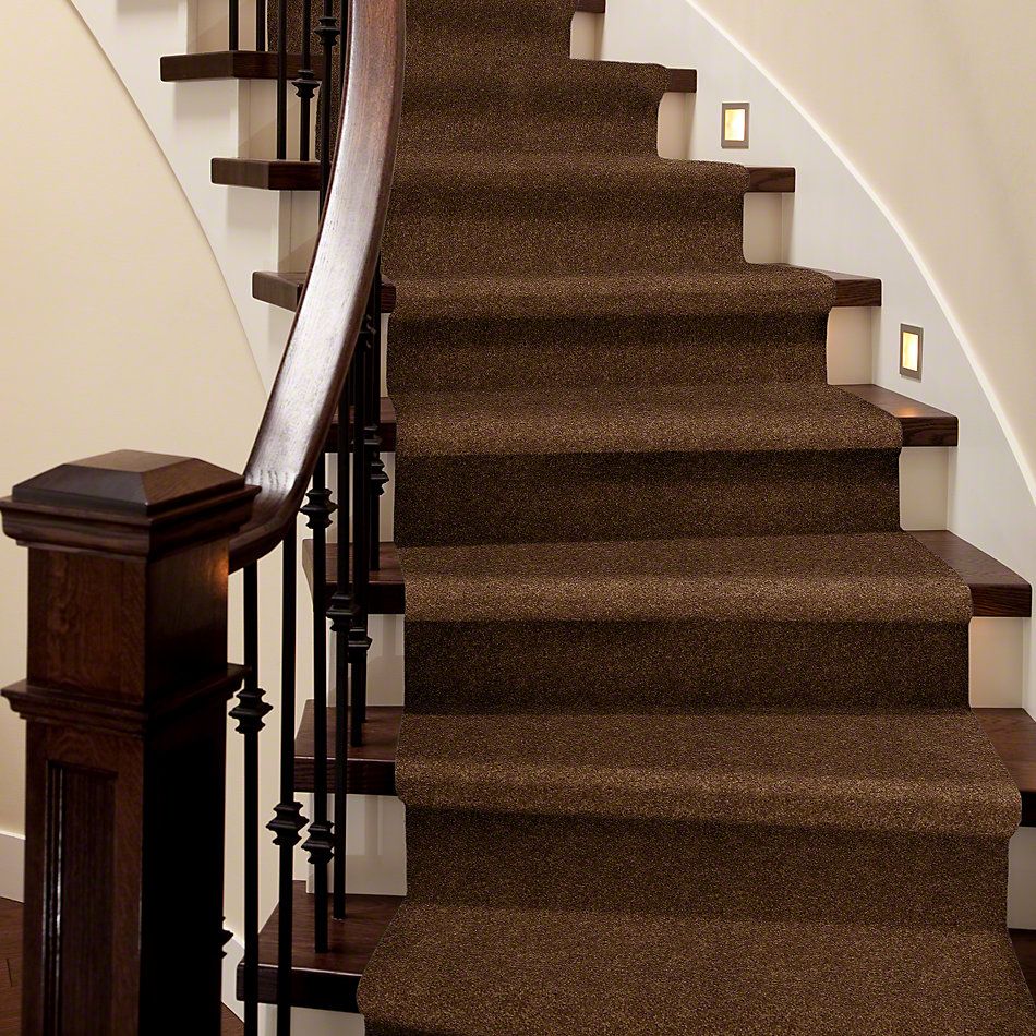 Shaw Floors SFA Loyal Beauty II Cabin 00726_EA163