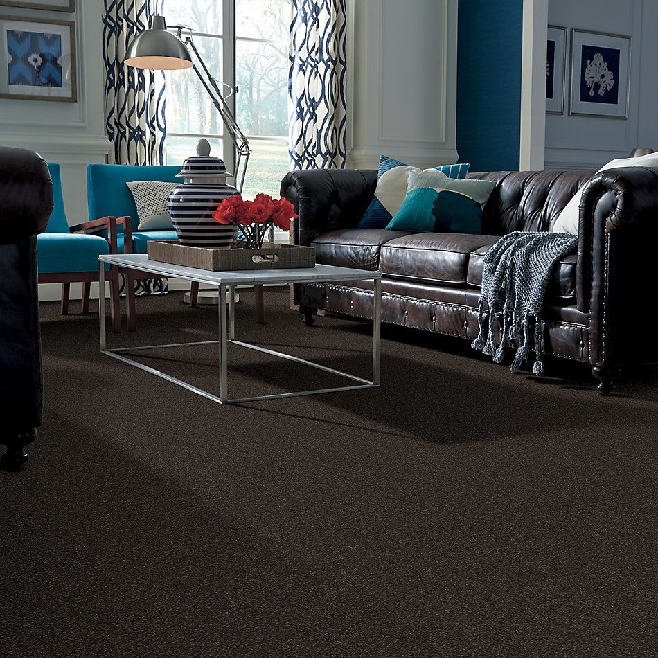 Shaw Floors Nfa/Apg Barracan Classic III Chestnut 00726_NA076