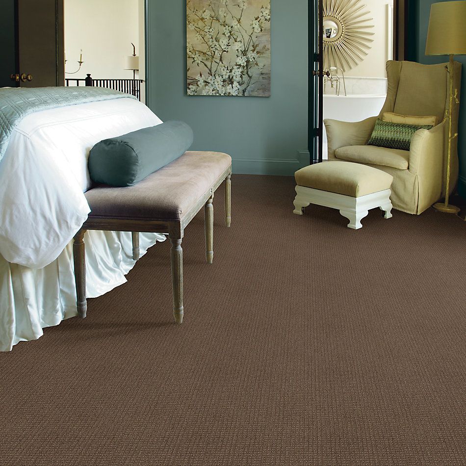 Shaw Floors Roll Special Xv872 Rustic 00730_XV872