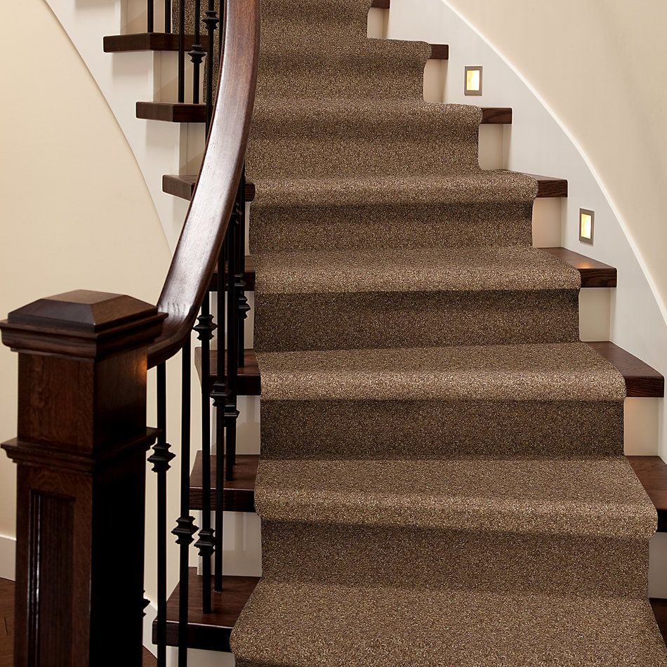 Shaw Floors Value Collections Victory Net Bannister 00732_E0794