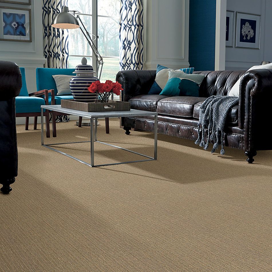 Anderson Tuftex American Home Fashions Brighton Mr. Sandman 00732_ZA776