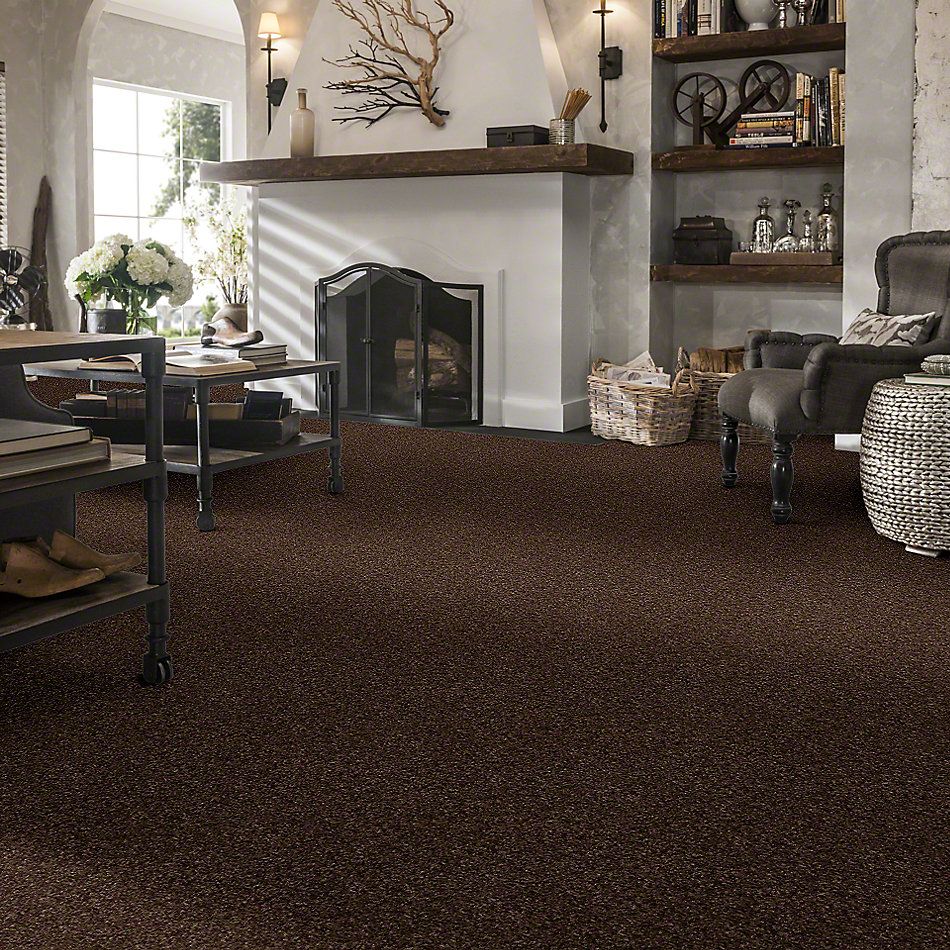 Shop Shaw Floors Victory Bedford Brown 00733 E0590 Carpet