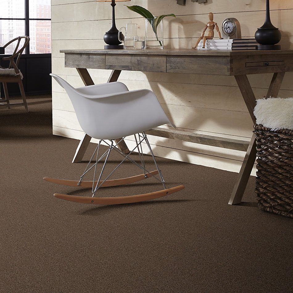 Anderson Tuftex Toll Brothers HS/Tuftex Artistic Vicuna 00736_001TB