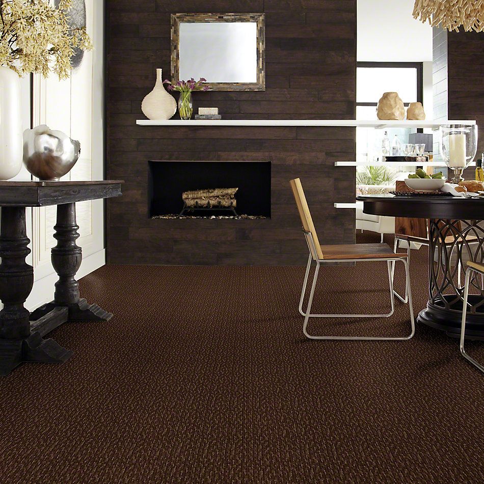 Anderson Tuftex SFA Skylite Bronzed Brass 833SF_00738