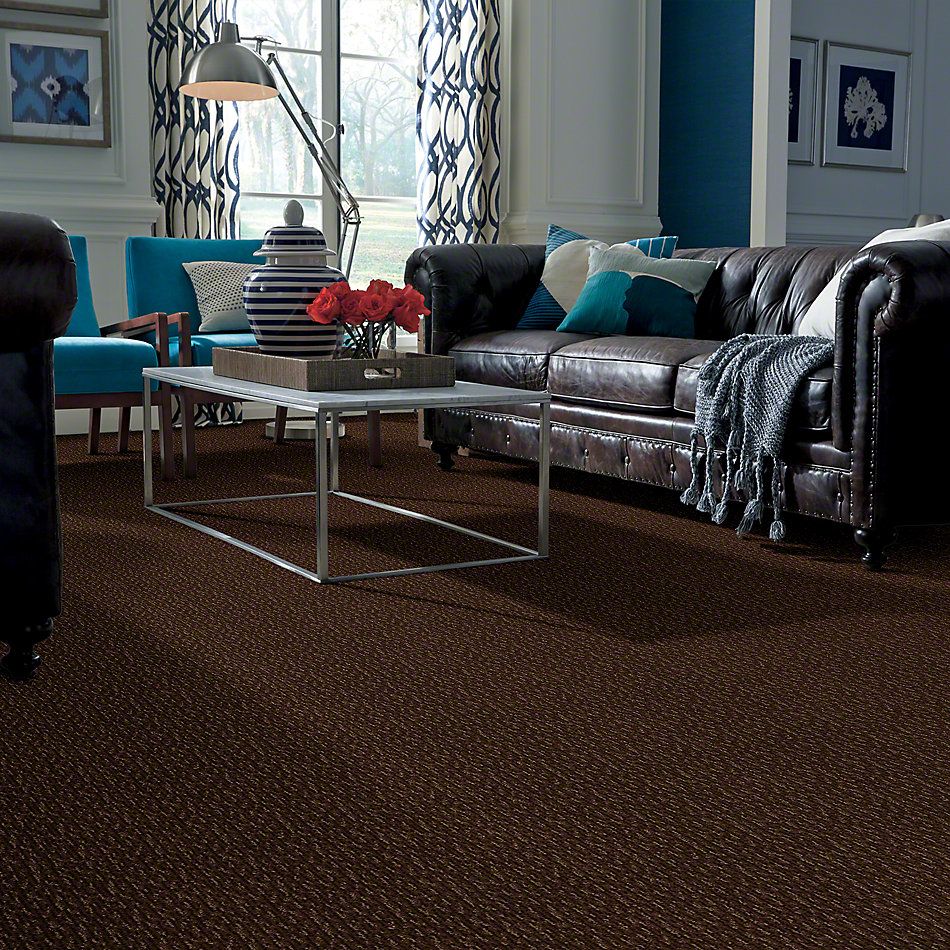 Anderson Tuftex SFA Skylite Bronzed Brass 833SF_00738