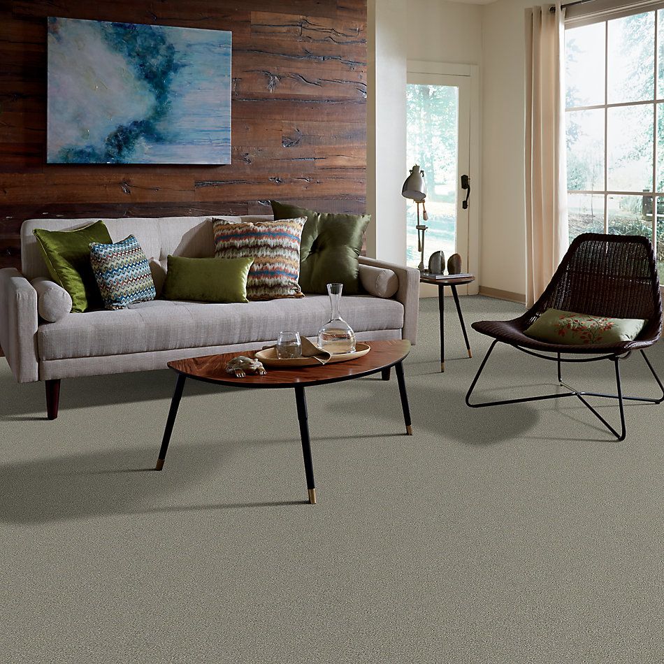 Shaw Floors Simply The Best Boundless II Net Dreamscape 00740_5E504