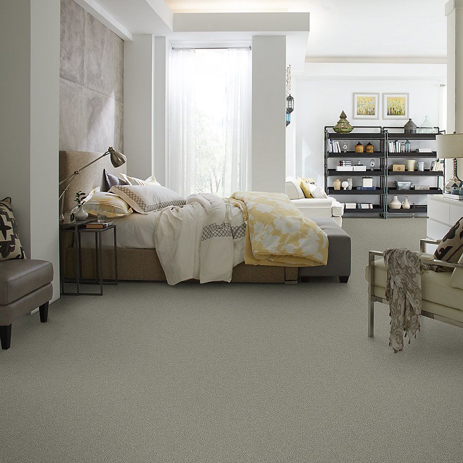 Shaw Floors Simply The Best Boundless III Net Dreamscape 00740_5E505