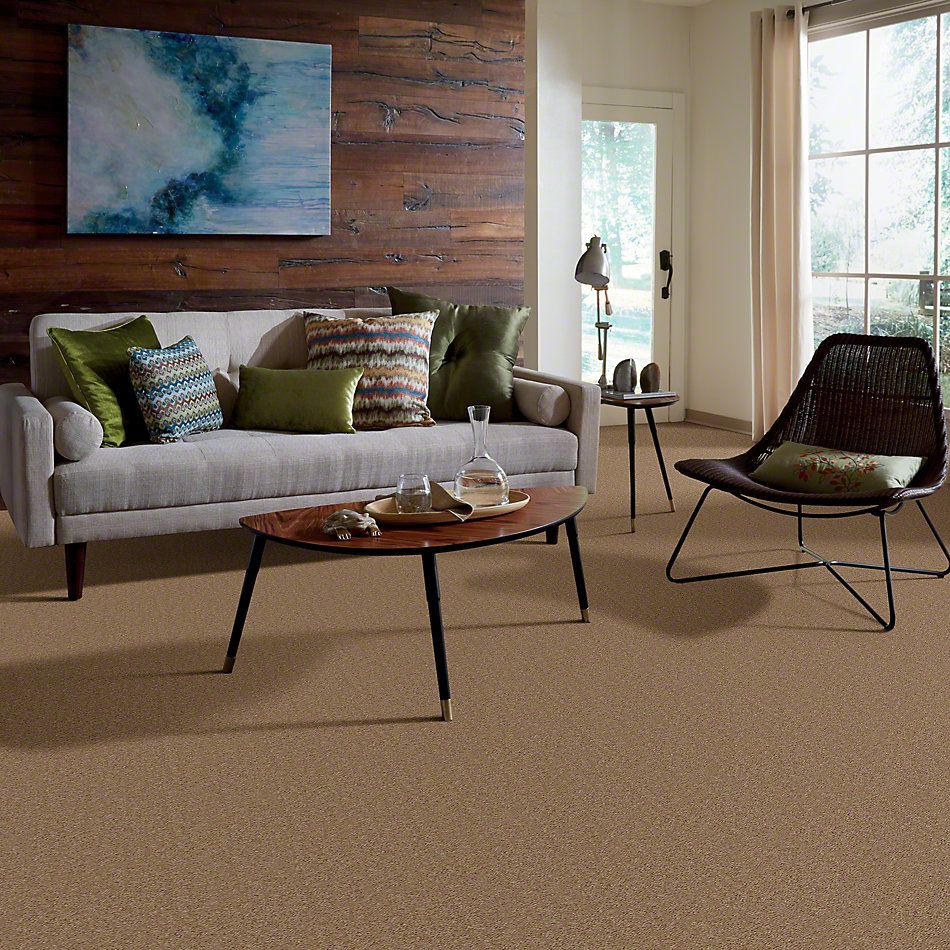 Shaw Floors This Is It Winter Milk 52E51_00741