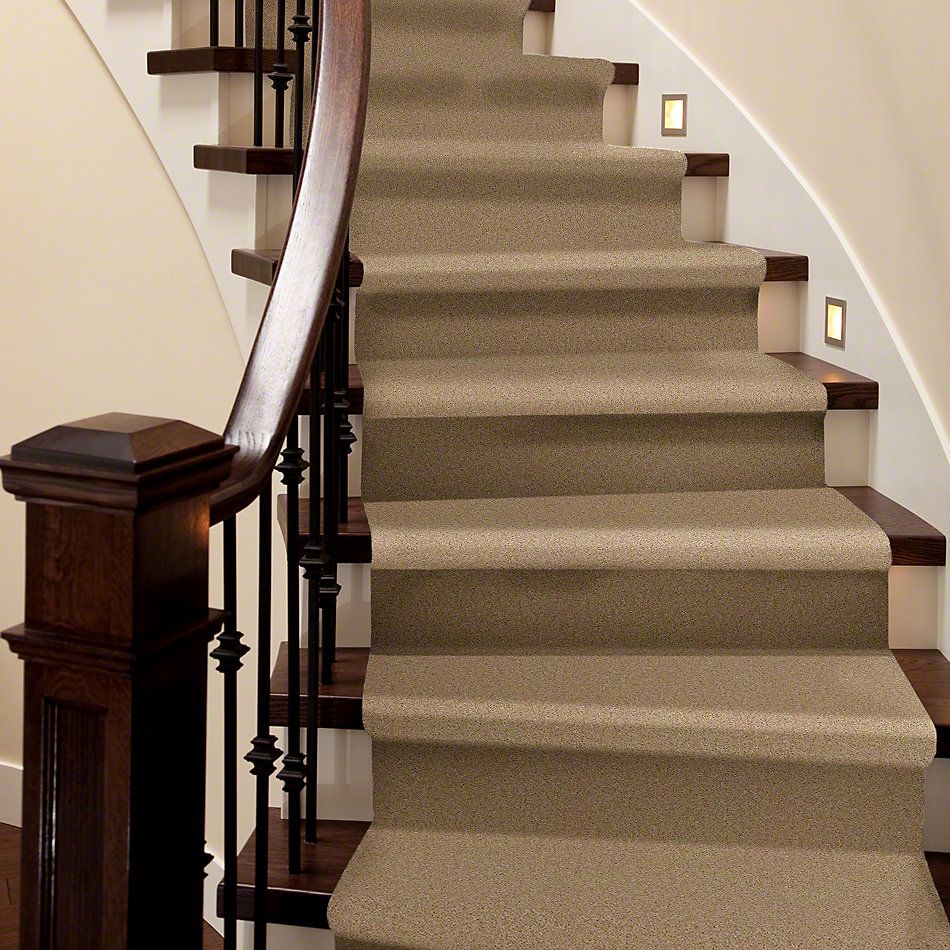 Shaw Floors This Is It Plus Pebble Walk 00741_52N08