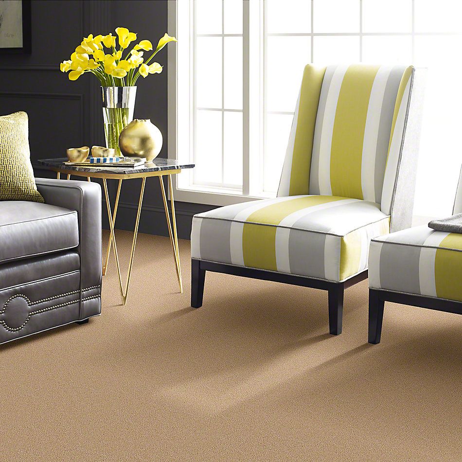 Shaw Floors Optimum Shadow 52Q59_00743
