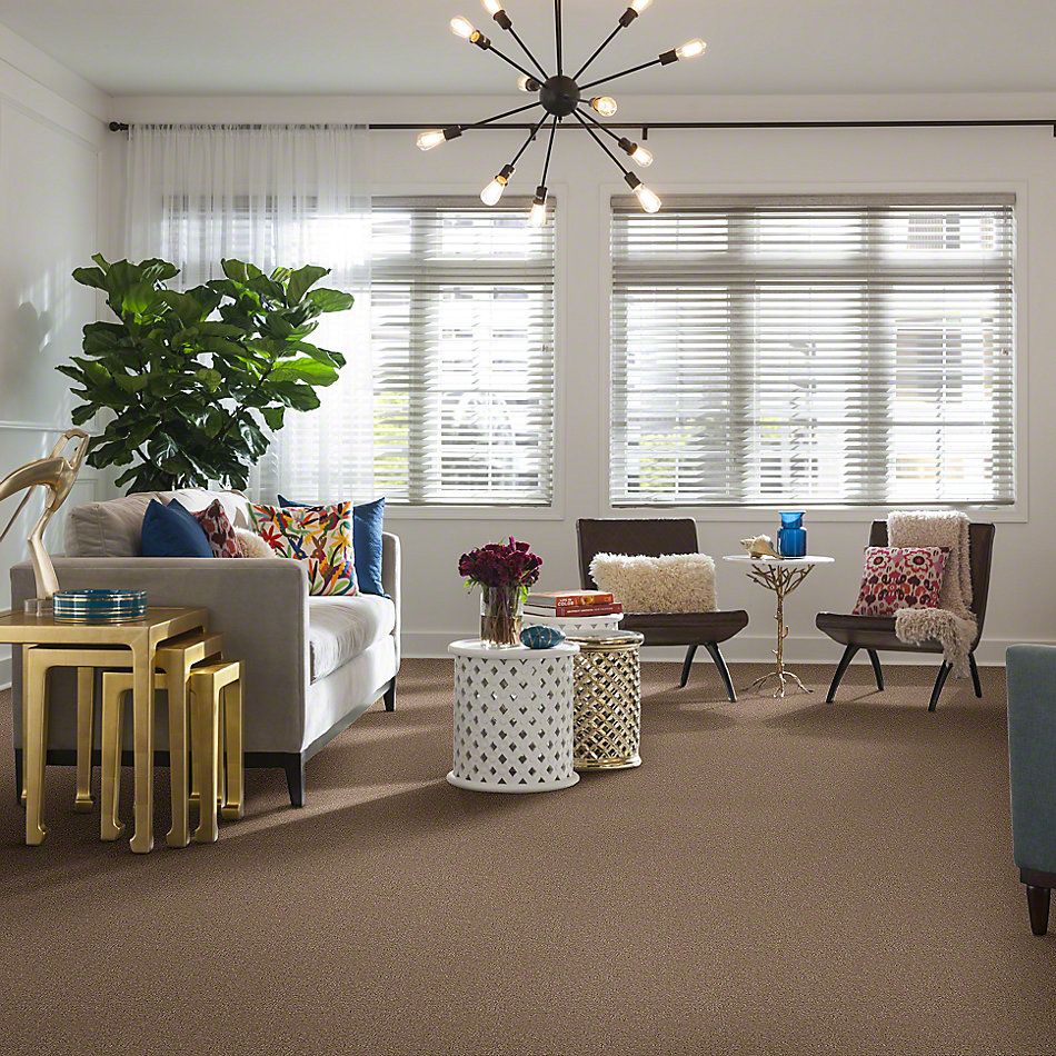 Shaw Floors Optimum Thornwood 52Q59_00747