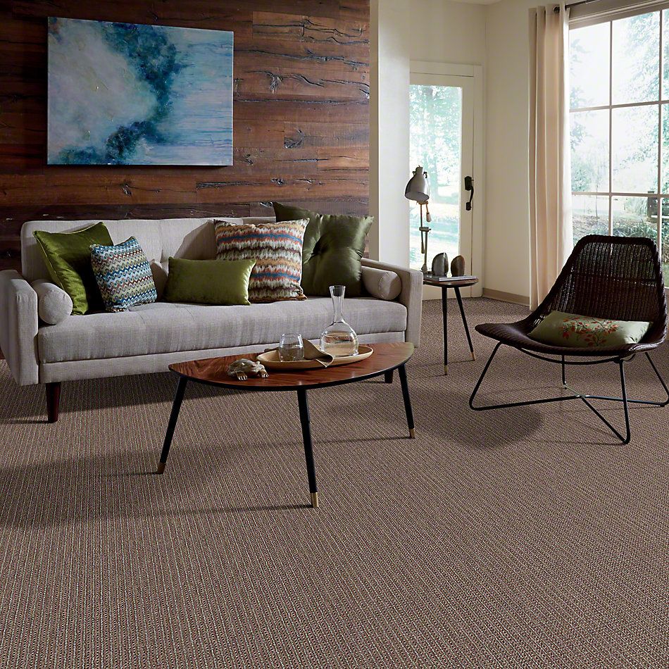 Shop Anderson Tuftex St Lucia Otter 00748 Zz038 Carpet Reinhold Flooring