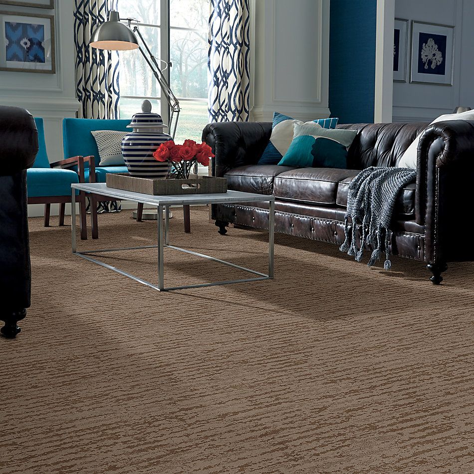 Shaw Floors Value Collections Winter Solace Net Tumbleweed 00749_5E369