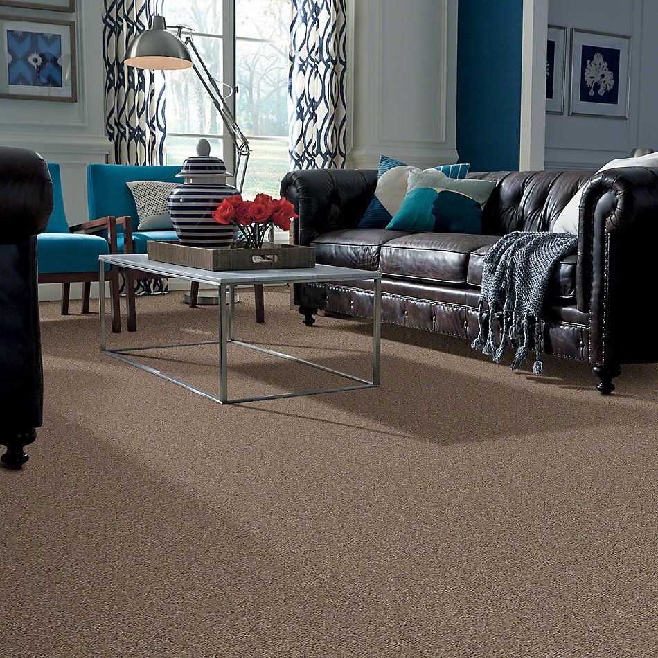 Shaw Floors This Is It Wildwood 52E51_00750