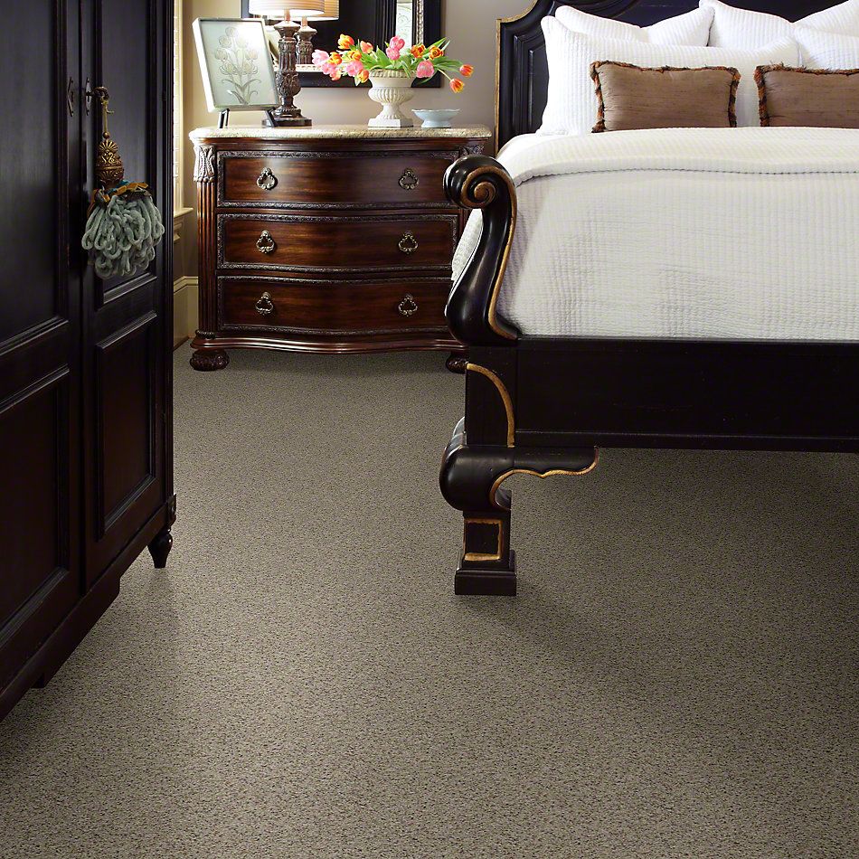 Shaw Floors Shaw Flooring Gallery Perfectly Timed Classic 00750_5572G