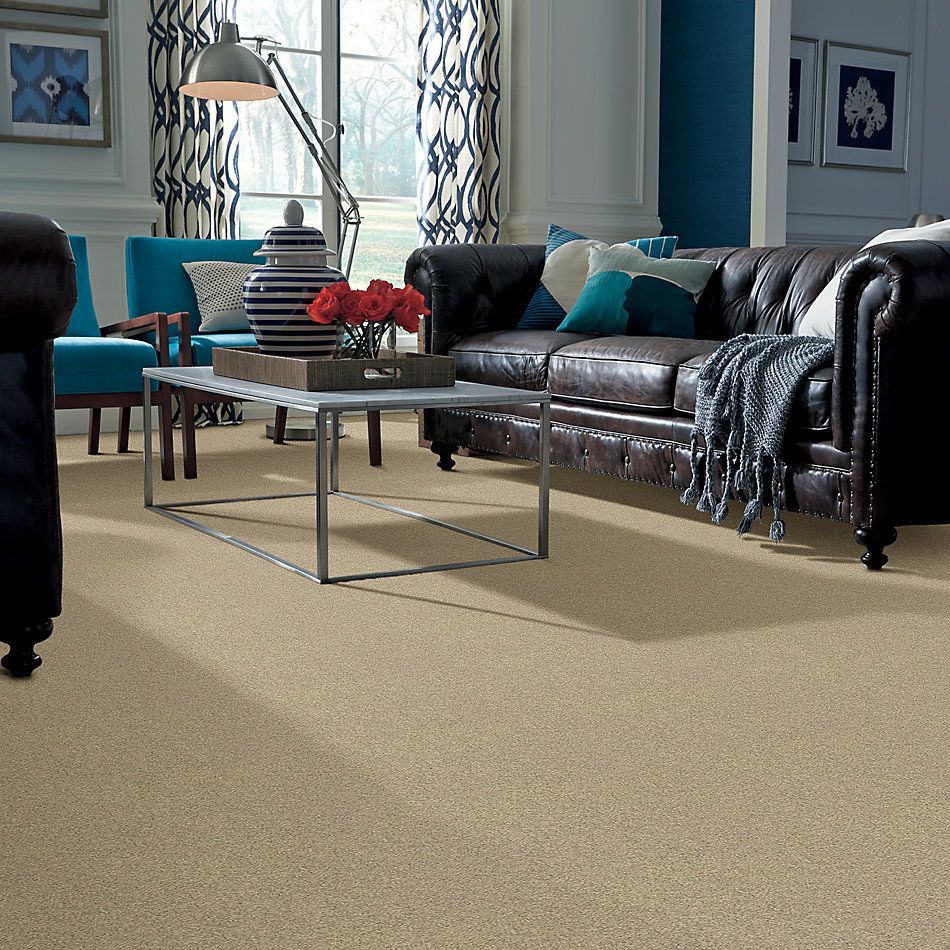 Shaw Floors Foundations Take The Floor Texture II Net Hazelnut 00750_5E067