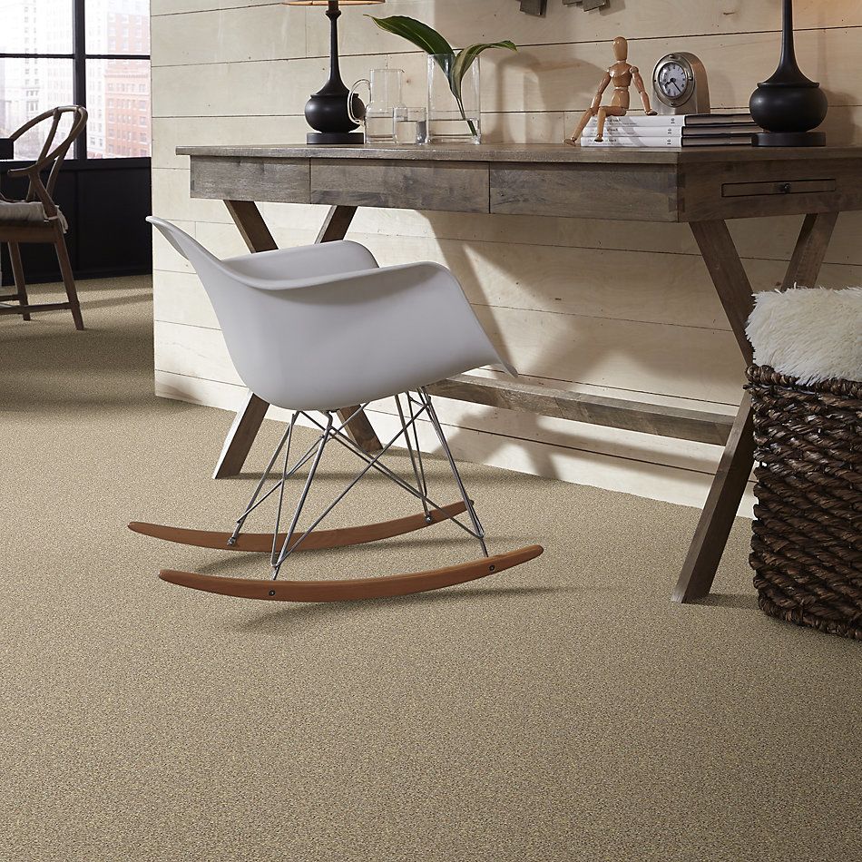 Shaw Floors Value Collections Take The Floor Twist I Net Hazelnut 00750_5E069