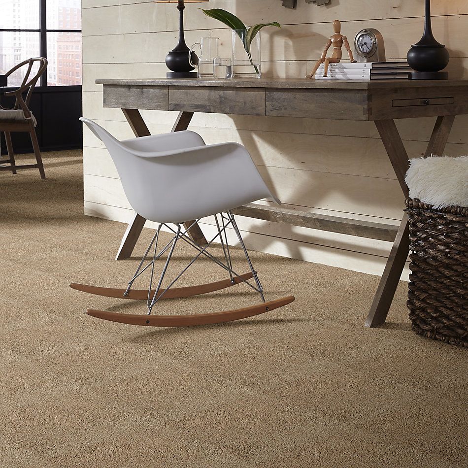 Shaw Floors Foundations Take The Floor Twist II Net Hazelnut 00750_5E070