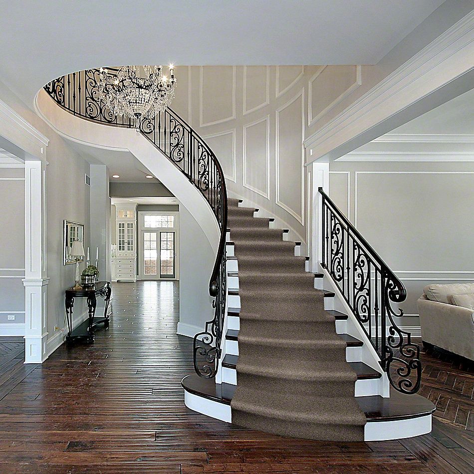 Shop Shaw Floors Parlay Driftwood 00750 E0811 Carpet Barrett Floors