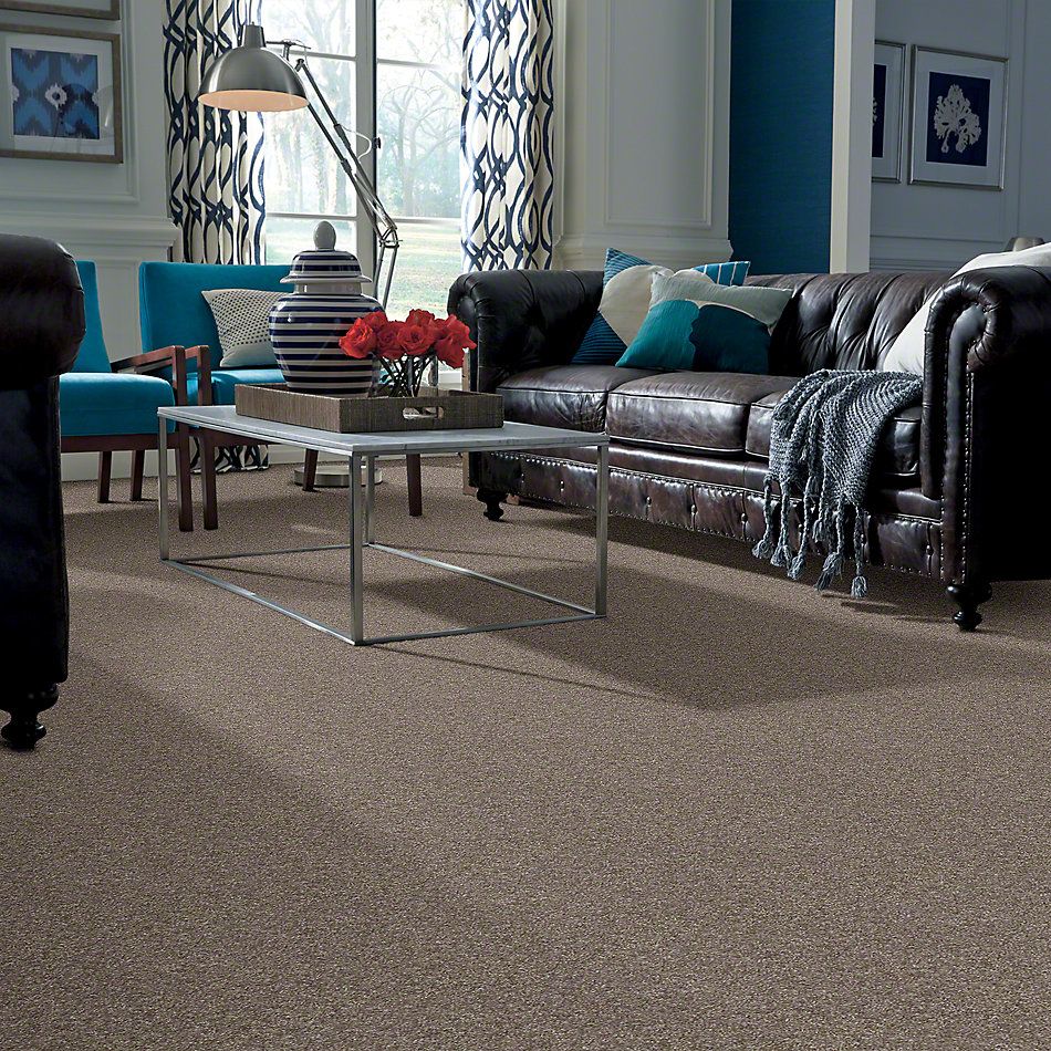 Shaw Floors Value Collections Parlay Net Driftwood 00750_E0829