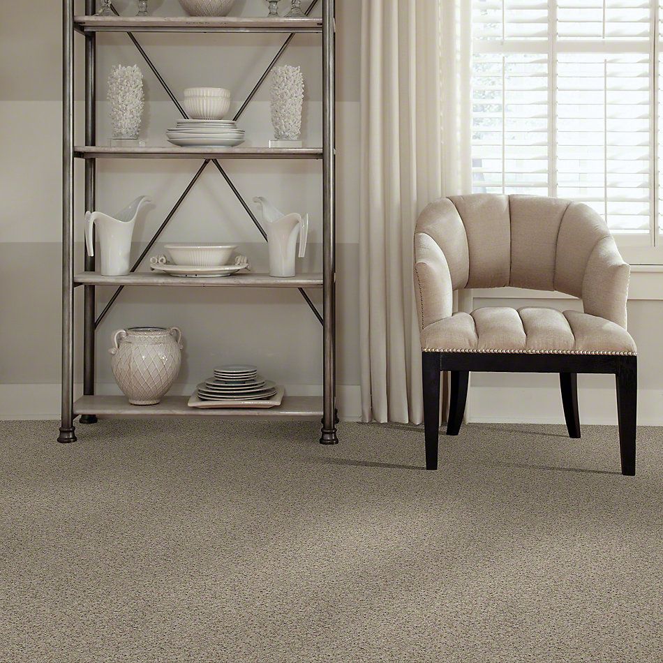 Shaw Floors Value Collections That’s Right Net Classic 00750_E0925