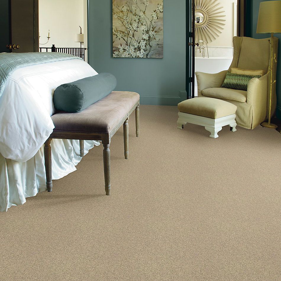 Shaw Floors Nfa/Apg Take the Floor Texture II Hazelnut 5.00E+06_00750