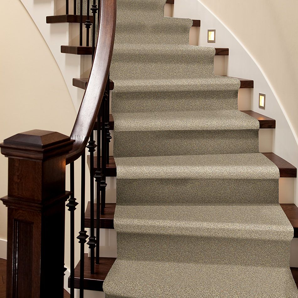 Shaw Floors Nfa/Apg Take the Floor Twist I Hazelnut 5.00E+14_00750