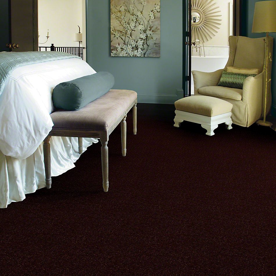 Shaw Floors This Is It Sudell 52E51_00751