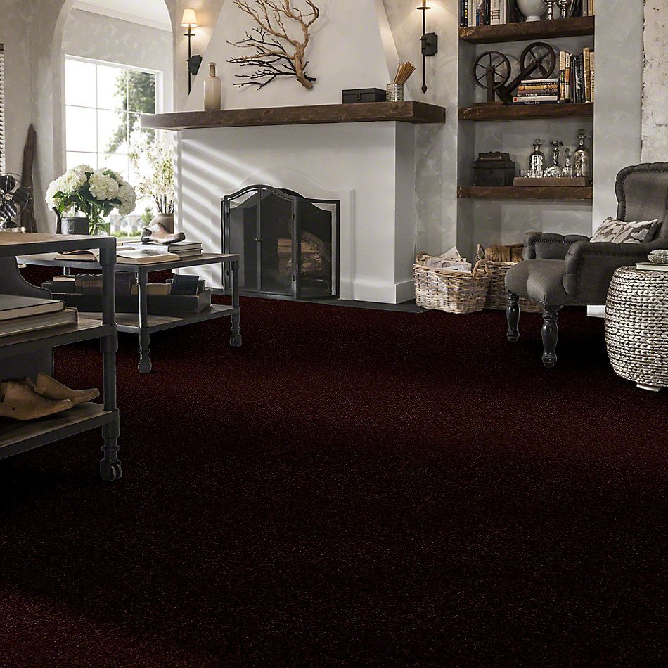 Shaw Floors This Is It Sudell 52E51_00751