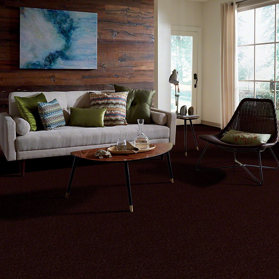 Shaw Floors This Is It Sudell 52E51_00751
