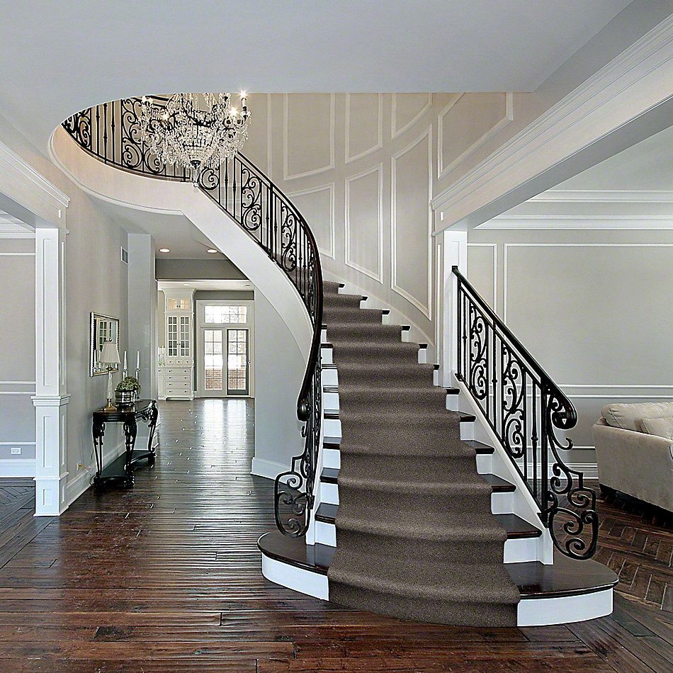 Shop Shaw Floors Shaw Flooring Gallery Premier Role Stone 00751 5571g Carpet Colonial Interiors