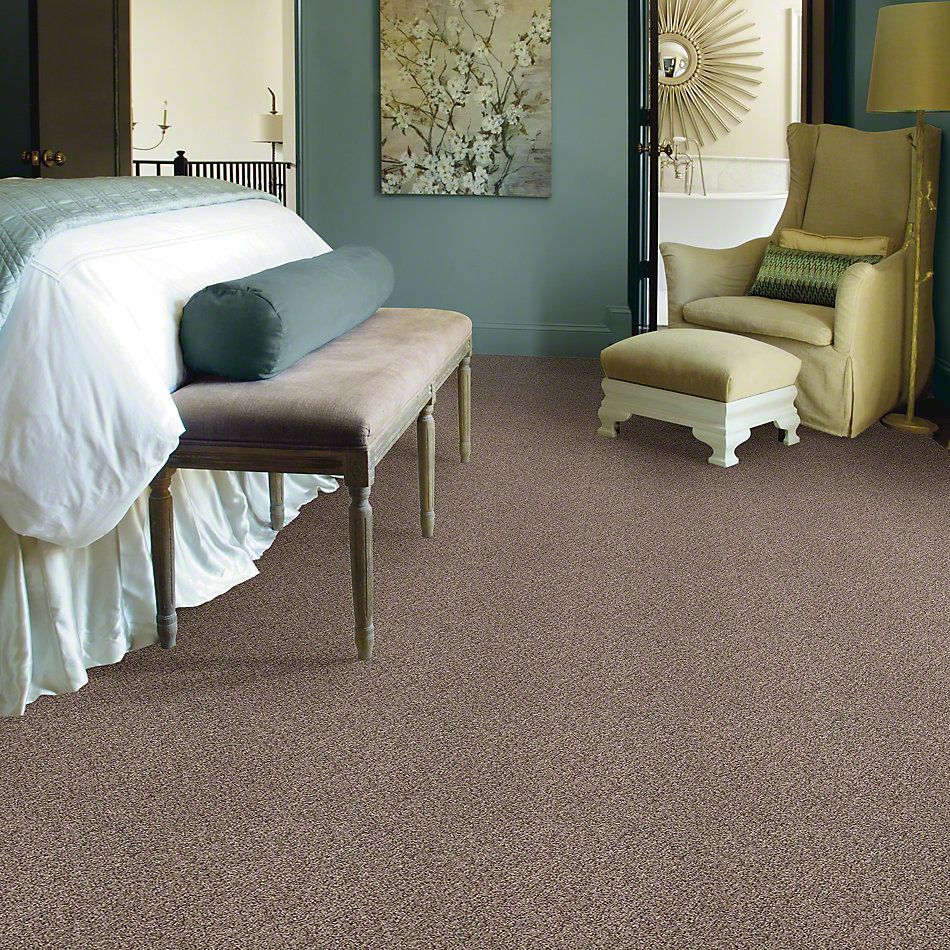 Shaw Floors Simply The Best Cabana Life (b) Net Brown Reed 00751_5E004
