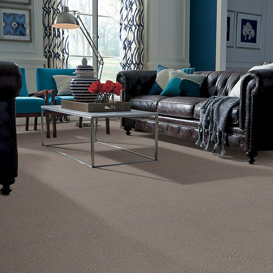 Shaw Floors Value Collections Vintage Revival Net Ridgeview 00751_5E381