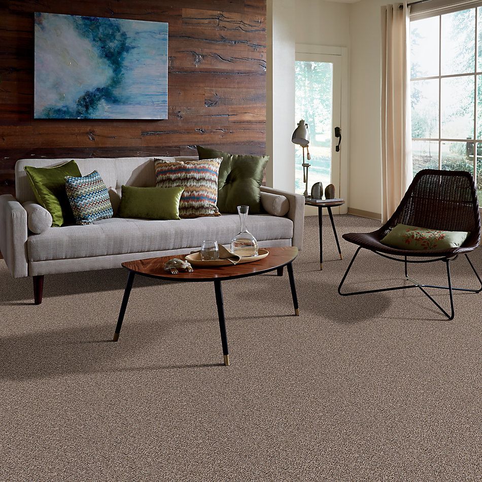 Shaw Floors Property Solutions Specified Presidio Tweed Brown Reed 00751_PZ027