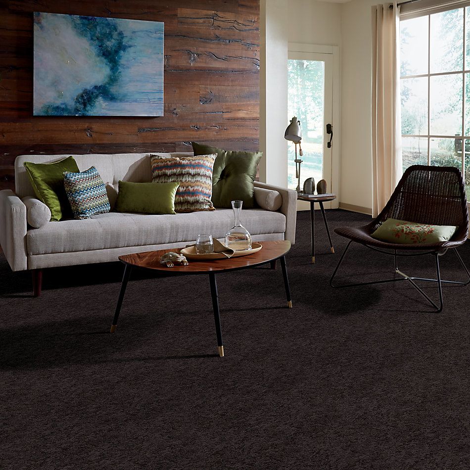 Shaw Floors Caress By Shaw State Of Mind Net Burma Brown 00752_5E373