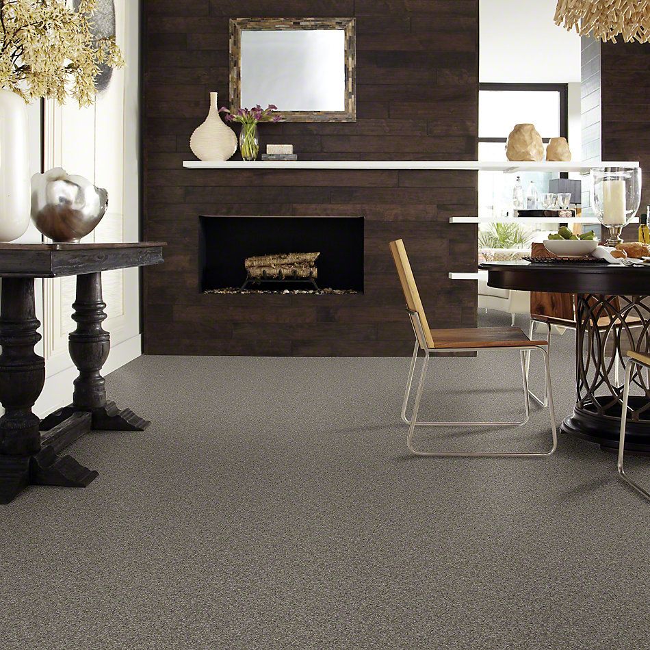 Shaw Floors My Choice II Rustic Elegance 00752_E0651