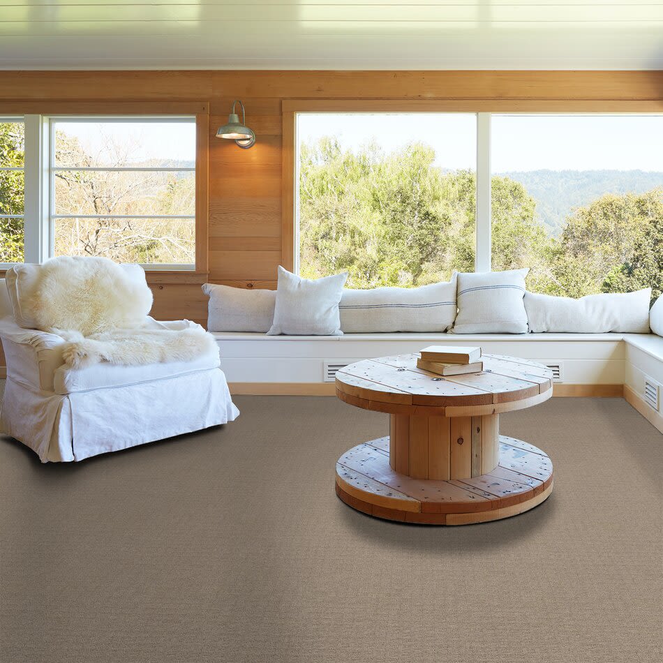 Shaw Floors Value Collections Blocking Net Ub Walnut 00752_E9468