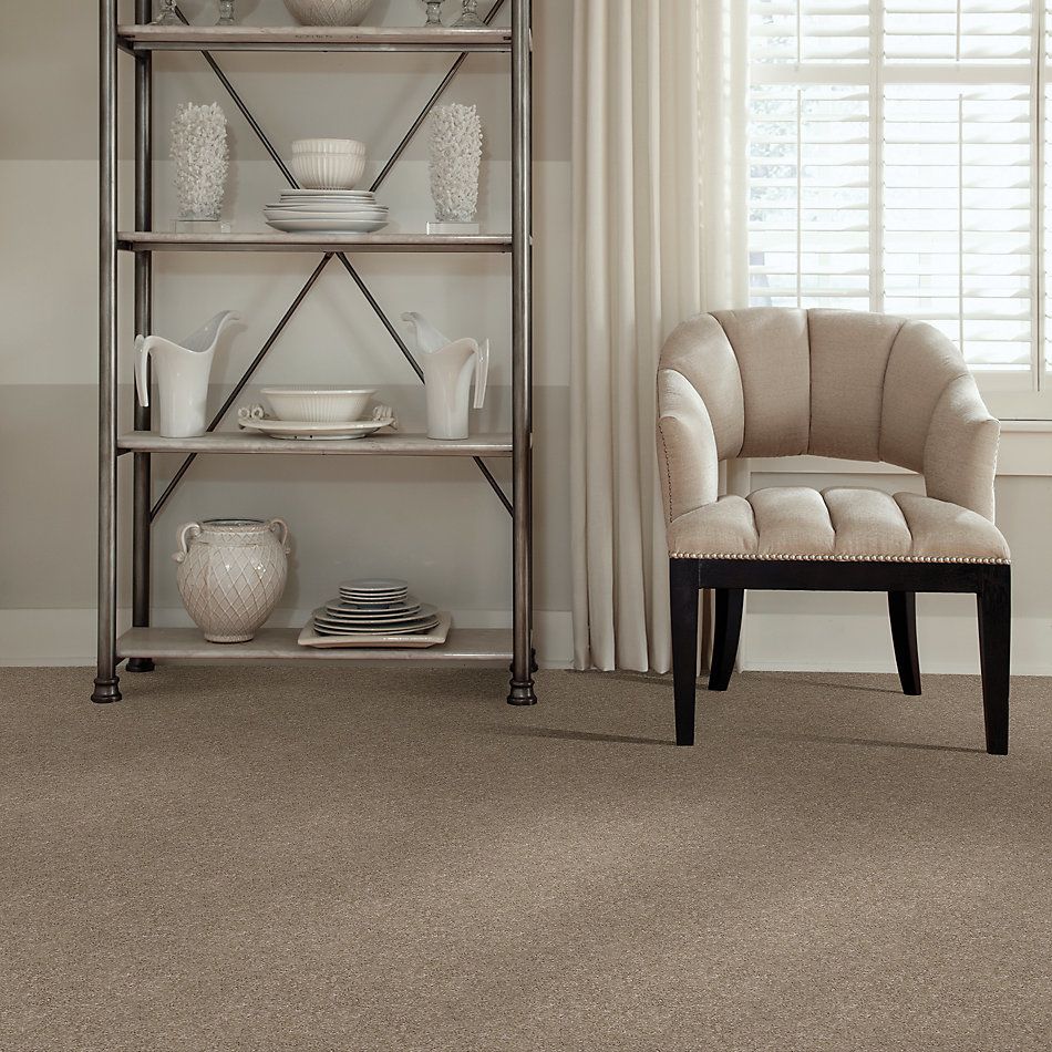 Anderson Tuftex Candor Driftwood 00753_866DF