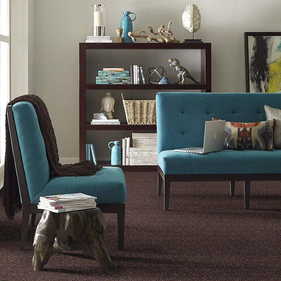 Shaw Floors Value Collections Parlay Net Mink 00753_E0829
