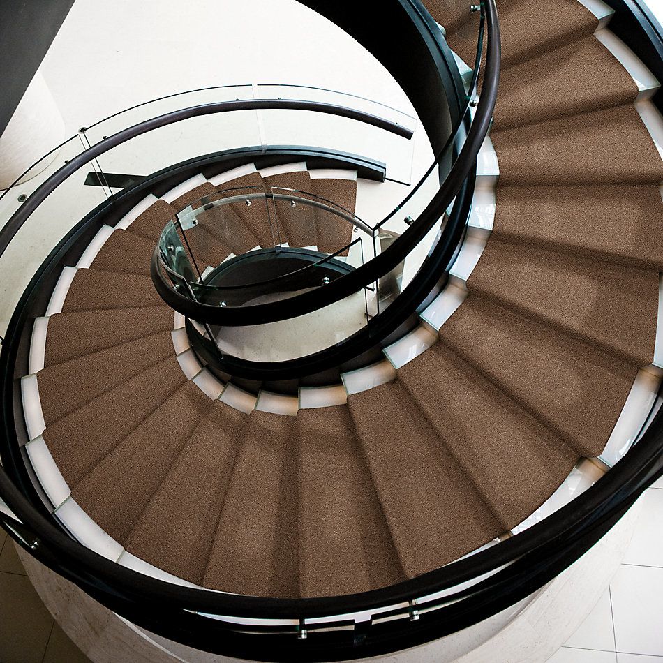 Shaw Floors Roll Special Xv124 Cobble Hill 00753_XV124