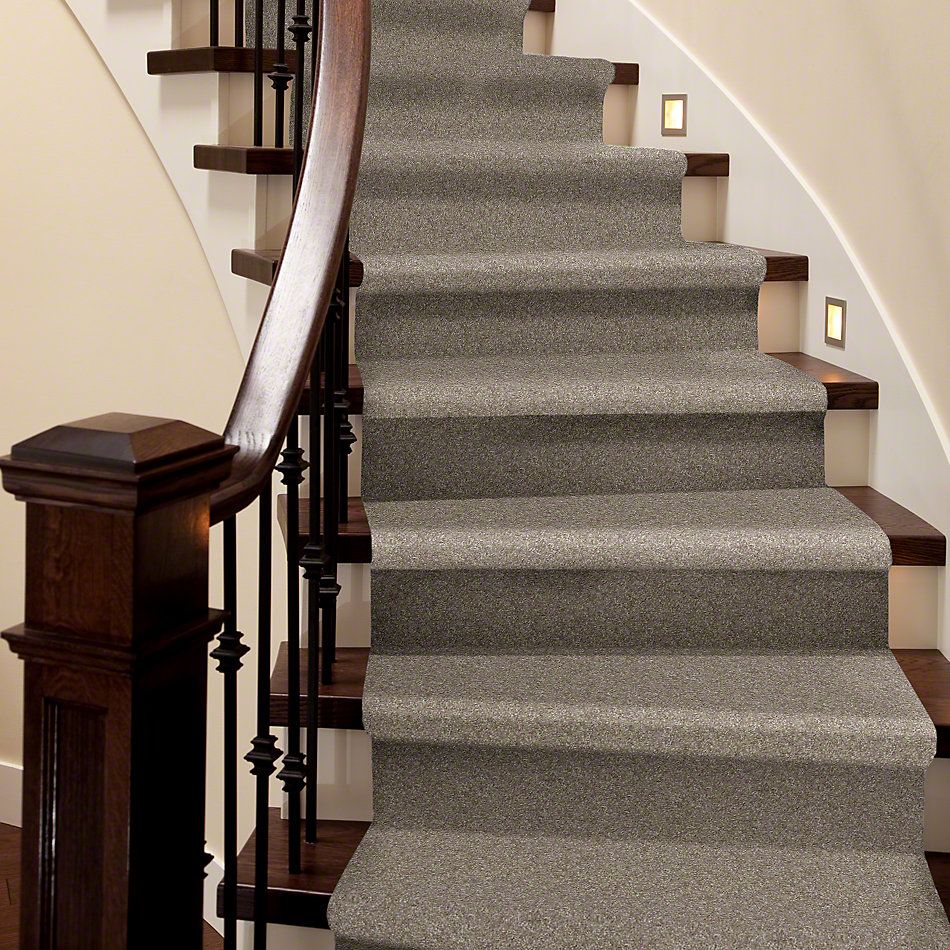 Shaw Floors Shaw Flooring Gallery Premier Role Harbor Town 00754_5571G